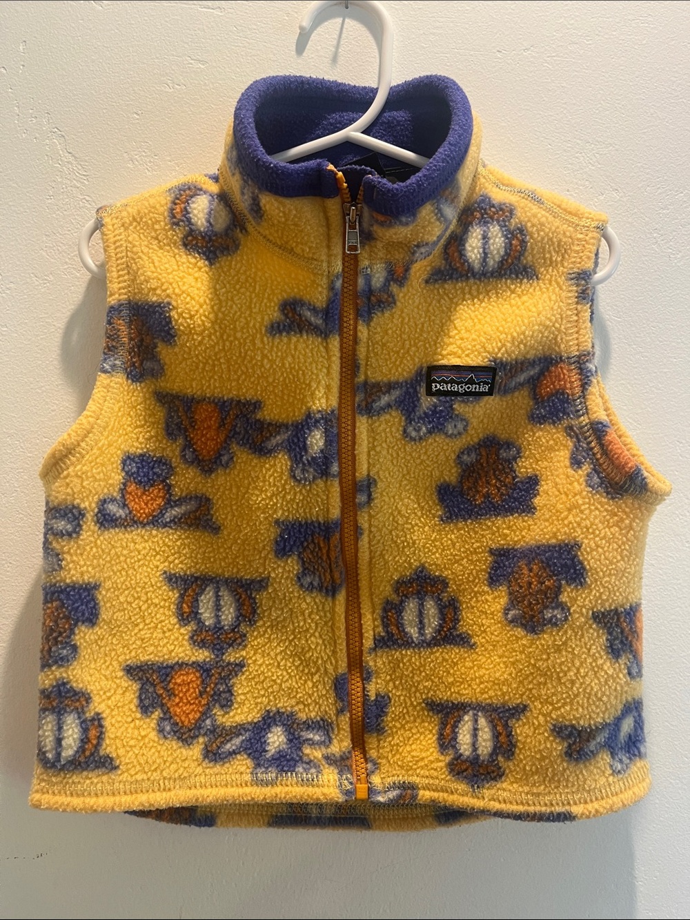 Patagonia Toddler Rare Frog Print Fleece Vest
